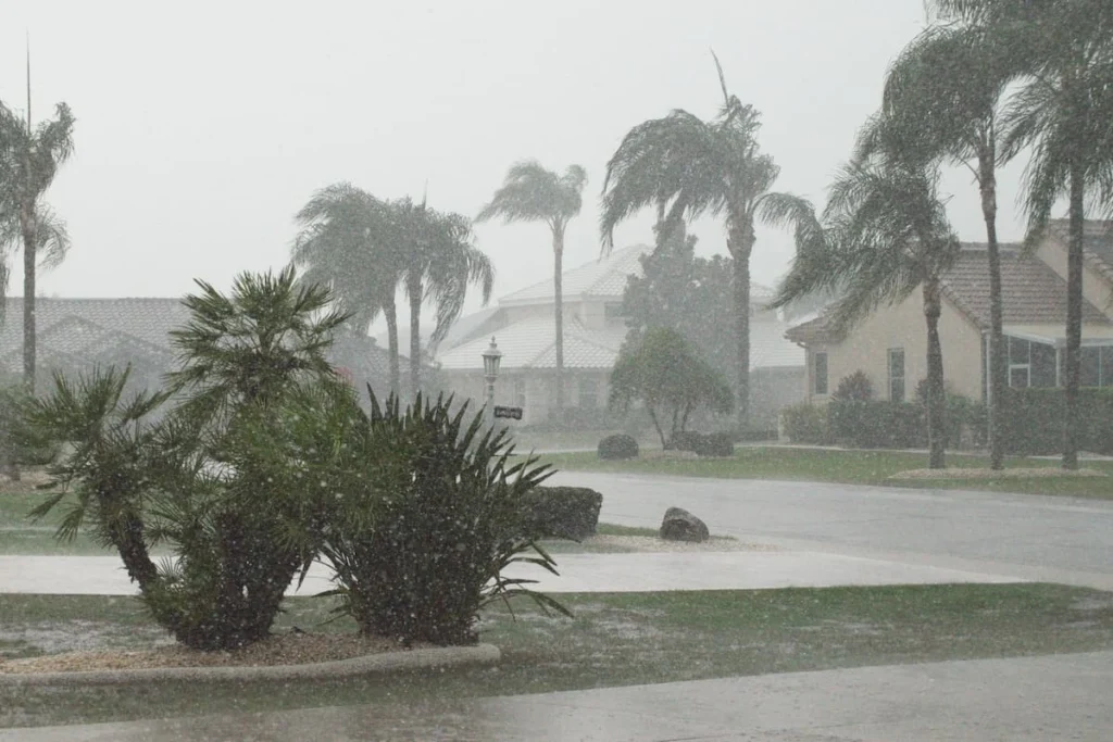 Fuerte lluvia y viento afectan una zona residencial con viviendas unifamiliares y palmeras inclinadas por las ráfagas.