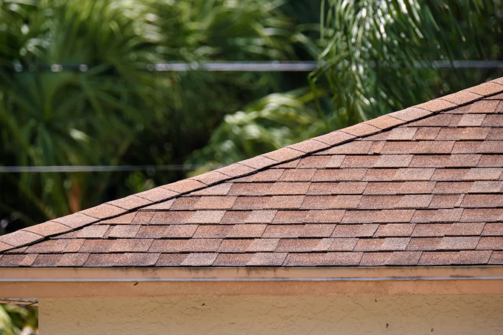 Techo inclinado de una vivienda cubierto con tejas asfálticas marrones, con vegetación tropical al fondo.